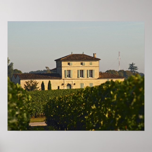Poster Château Lafleur Petrus et vignoble, à Pomerol, (Devant)