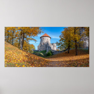 Poster Château médiéval entouré de forêt