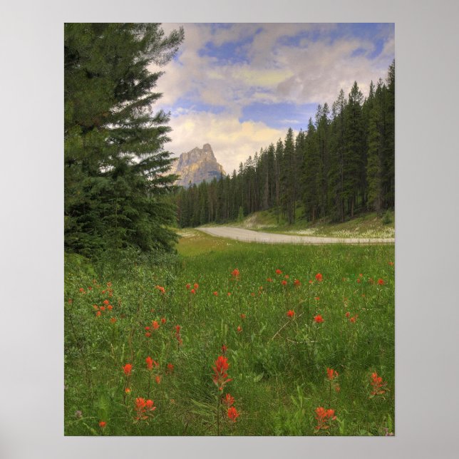 Poster Château Mountain Banff (Devant)