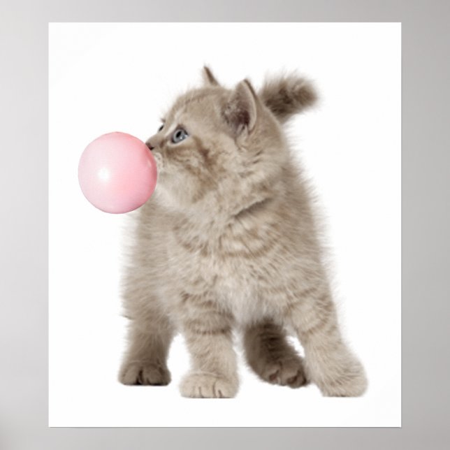 Poster Chaton adorable Bubble Gum pour la chambre de bébé (Devant)