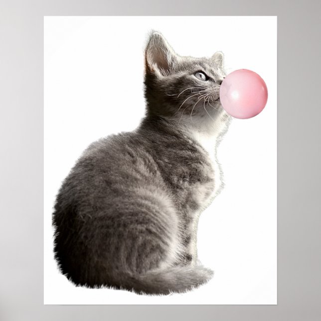 Poster Chaton Gris Adorable Bulle de Chewing-gum Enfant C (Devant)