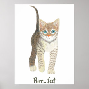 Poster Chaton tigré blanc