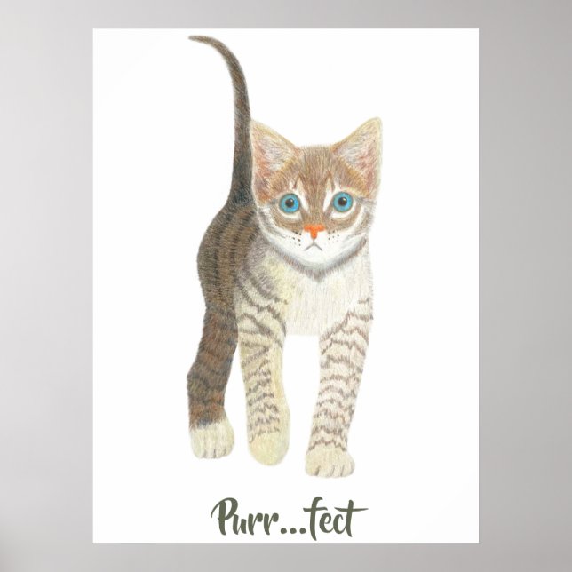 Poster Chaton tigré blanc (Devant)