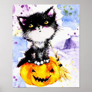 Poster Chaton Tuxedo sur citrouille