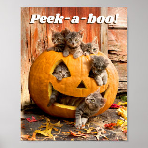 Poster Chatons à Jack-o-Lantern