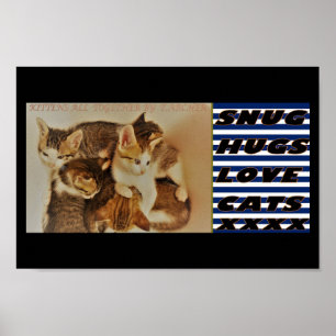 Poster Chatons dans la photo de repos original