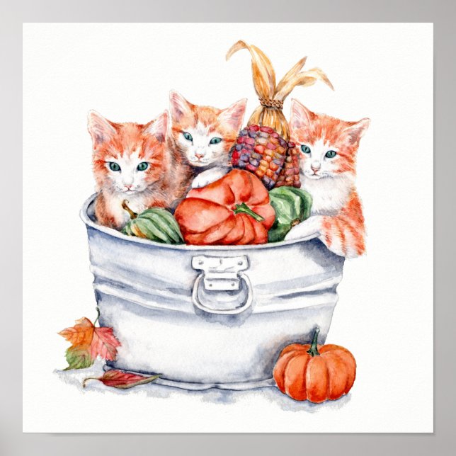 Poster Chatons de récolte (Devant)