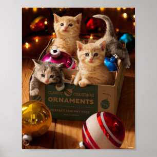 Poster Chatons en boîte ornementale