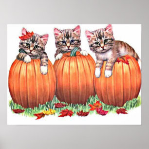 Poster Chatons en Citrouille