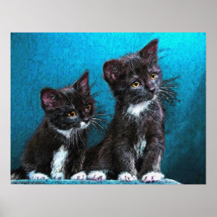 Poster chatons tuxedo