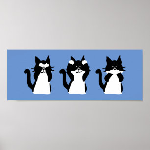 Poster Chats blancs noirs   Trois chatons