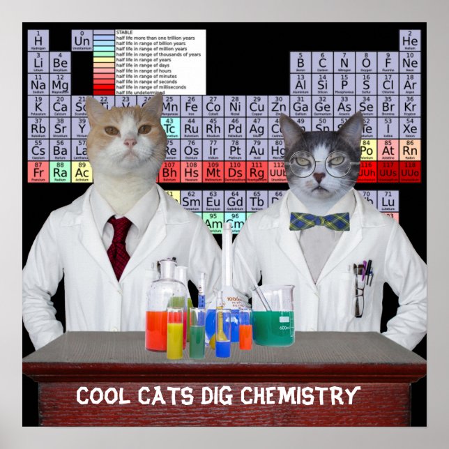 Poster Chats cool Chimie de la fouille (Devant)