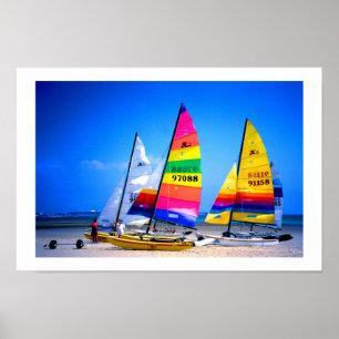 POSTER CHATS DE HOBIE AU JERSEY