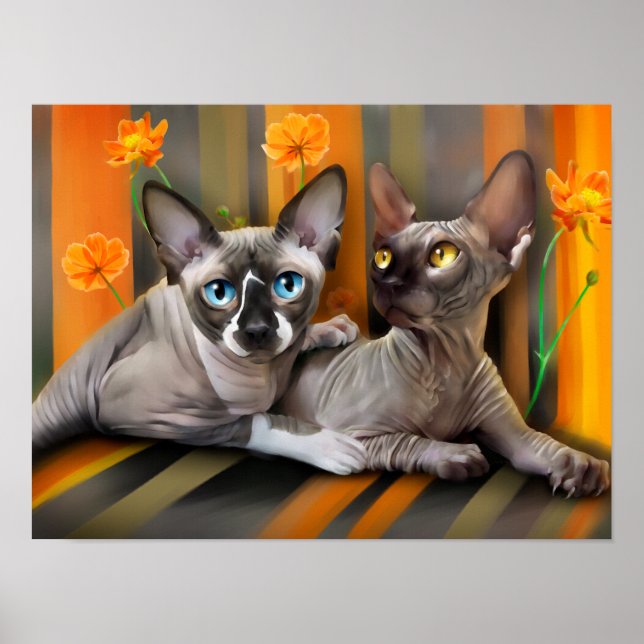 Poster Chats de Sphynx (Devant)
