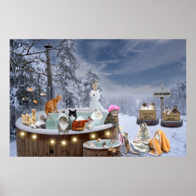 Poster Chats d'hiver amusants dans Hot Tub Art Amoureux d (Devant)