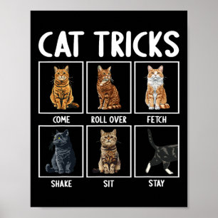 Poster Chats Drôle Chat Tricks