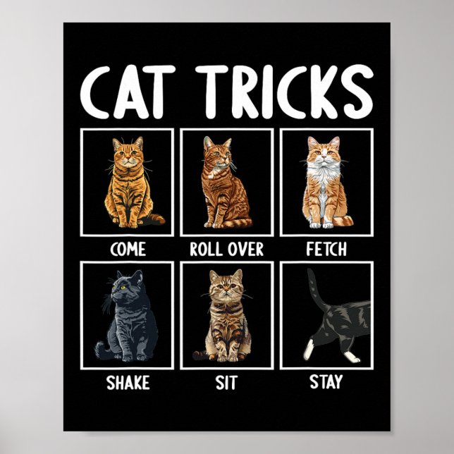 Poster Chats Drôle Chat Tricks (Devant)