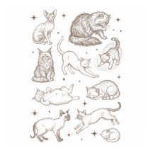 Chats drôles vintage avec multiples poses