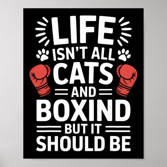 Poster Chats Et Boxe Drôle Boxe (Devant)