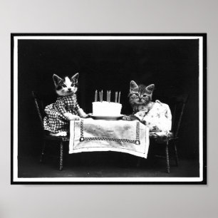 Poster Chats et gâteau d'anniversaire Antique photo