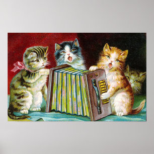 Poster "Chats et une Squeezebox"