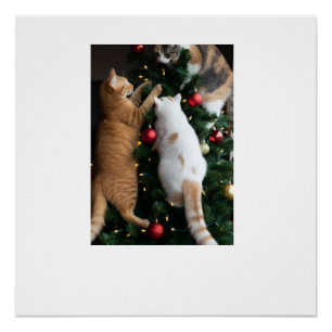 Poster Chats grimpant dans l'arbre de Noël