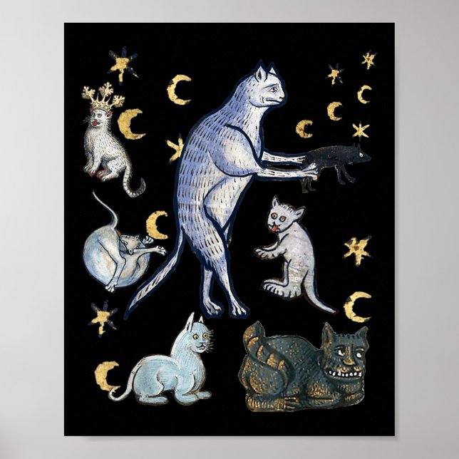 Poster Chats médiévaux laids  (Devant)