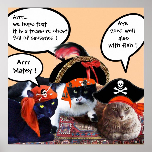 POSTER CHATS PIRATES (Devant)