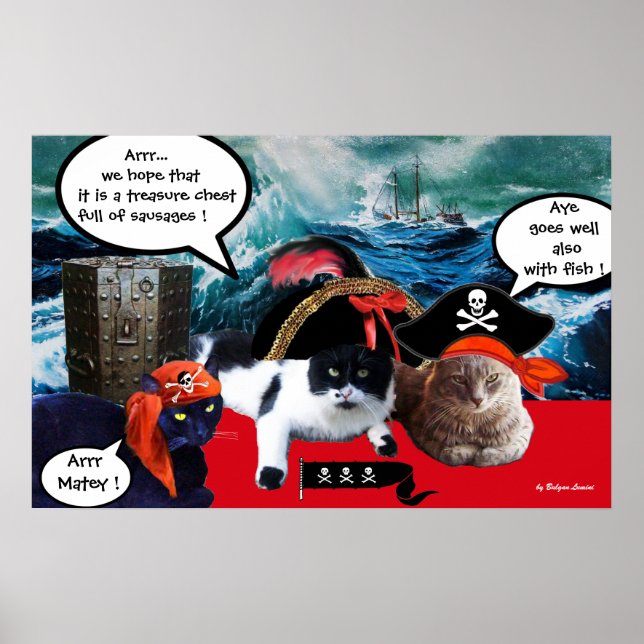 POSTER CHATS PIRATES QUI PARLENT ET NAVIRE DANS LA TEMPÊT (Devant)