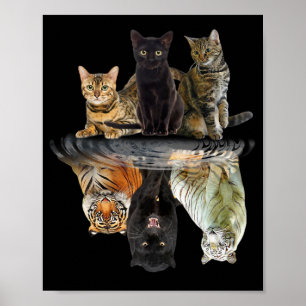 Poster Chats Réflexion Ami Amoureux de les chats Tigre mo