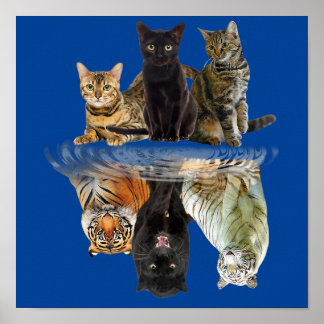 Poster Chats Réflexion Ami Amoureux de les chats Tigre mo