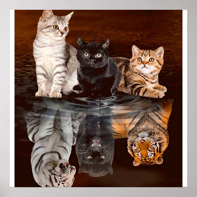 Poster Chats Réflexion Eau, Drôle Chats Idée Cadeau (Devant)