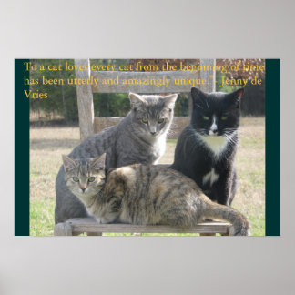 Poster Chats uniques