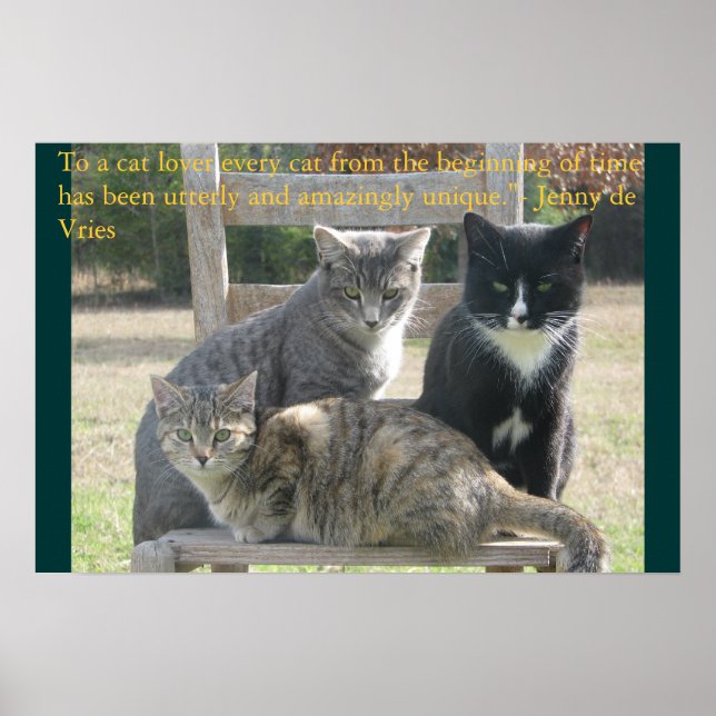Poster Chats uniques (Devant)