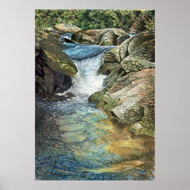 Poster Chattooga (Devant)