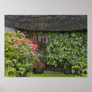 Poster Chaumière, Adare, comté de Limerick,