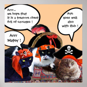POSTER CHAUSSURES PIRATES