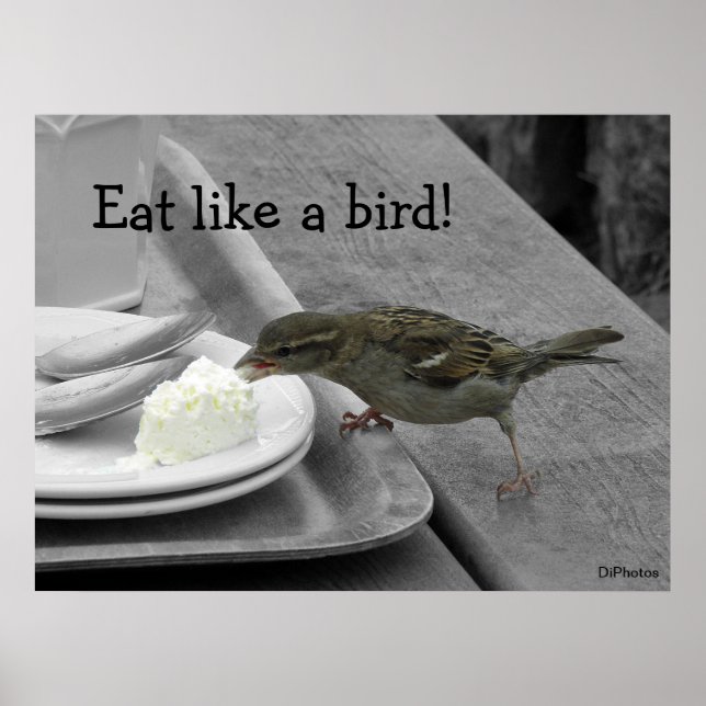 Poster Cheek Sparrow (Devant)