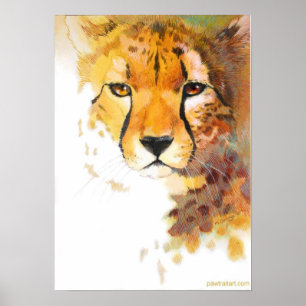 Poster Cheetah !