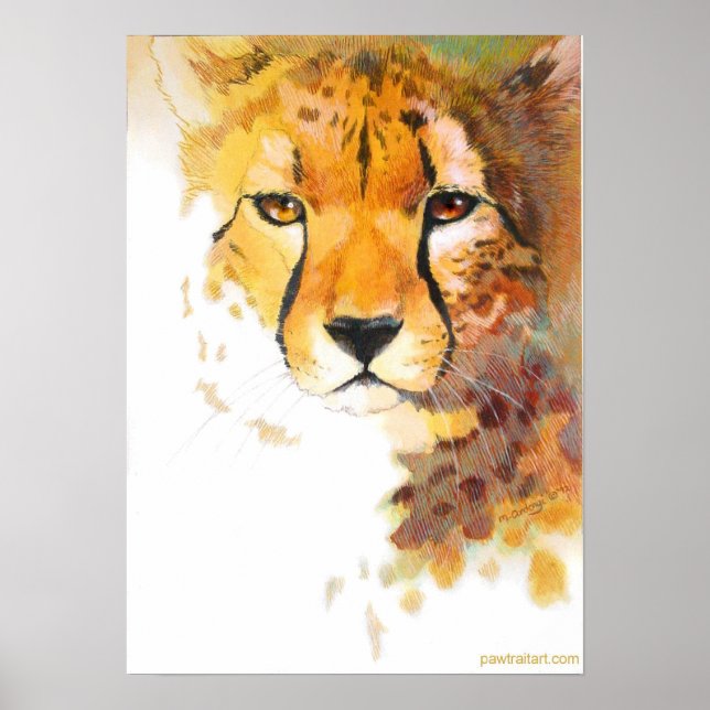 Poster Cheetah ! (Devant)