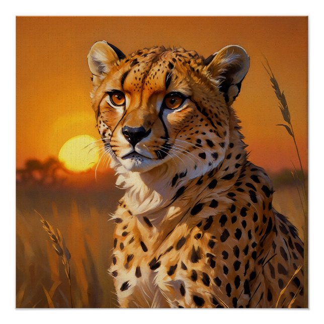 Poster Cheetah africain au coucher du soleil (Devant)
