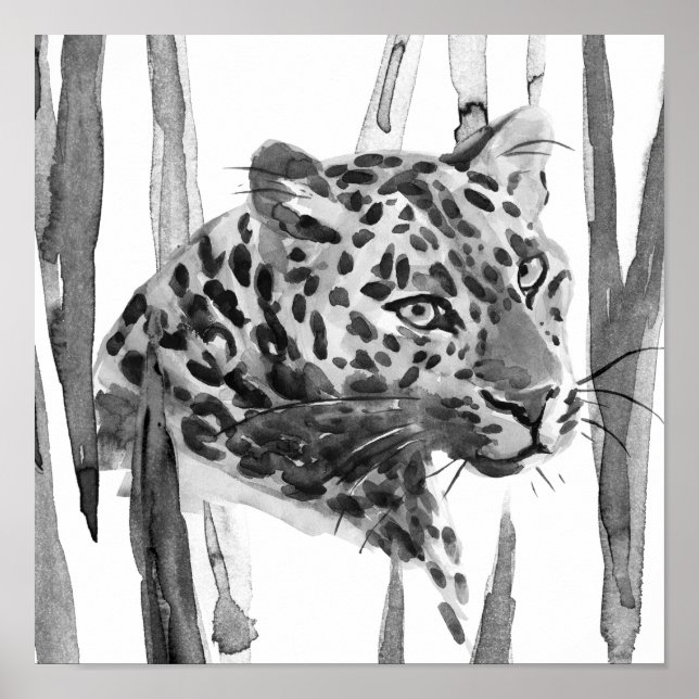 Poster Cheetah Portrait (Devant)