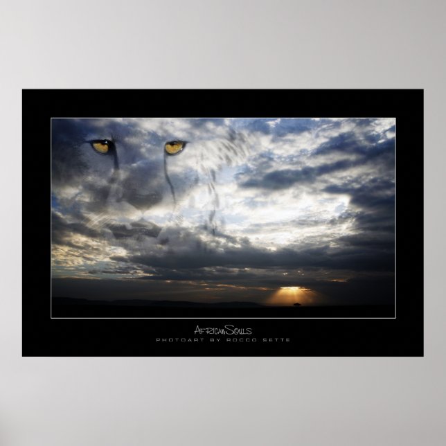 Poster Cheetah Spirit (Devant)