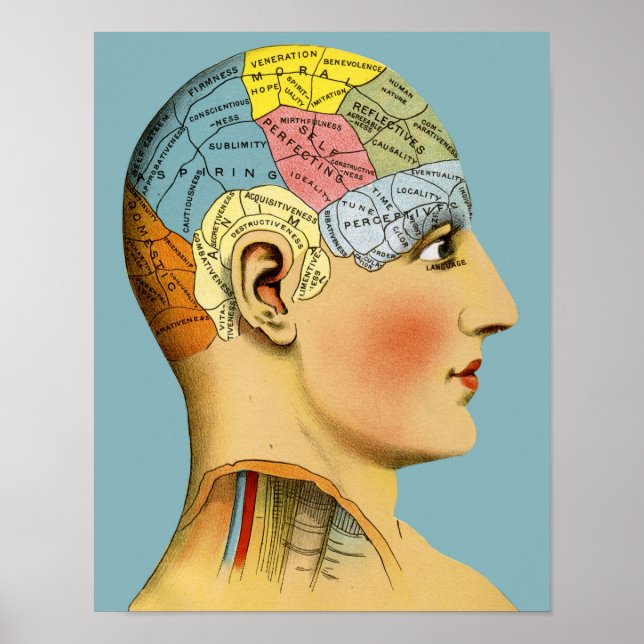 Poster Chef de la pharmacologie (Devant)