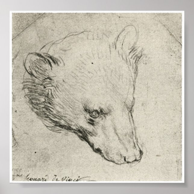 Poster Chef d'Ours, Léonard de Vinci (Devant)