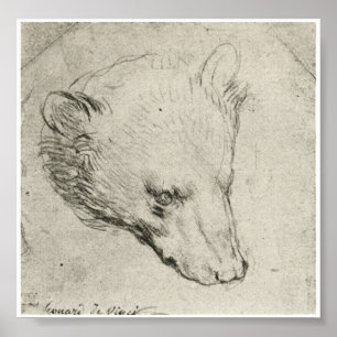 Poster Chef d'un ours, Leonardo da Vinci