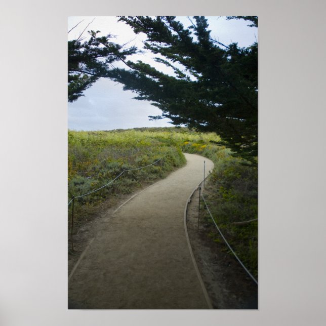 Poster Chemin (Devant)