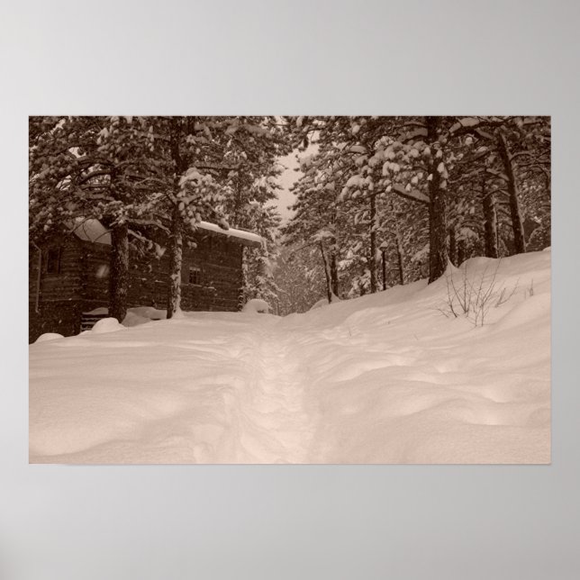 Poster Chemin (Devant)