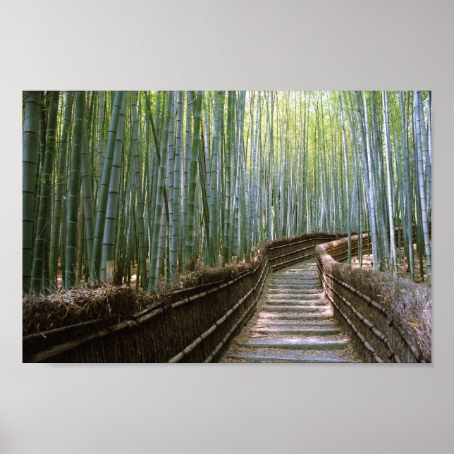Poster Chemin à travers le Bamboo : Kyoto, Japon (Devant)