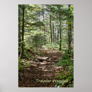 Poster Chemin Adirondack